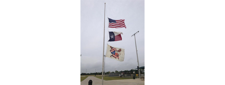 The Flags